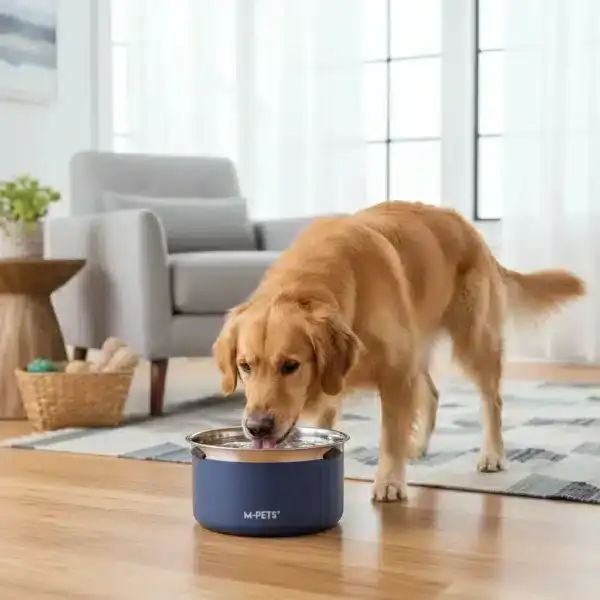 SPLASH CONTROL -קערת שתיה מנירוסטה למניעת השפרצות