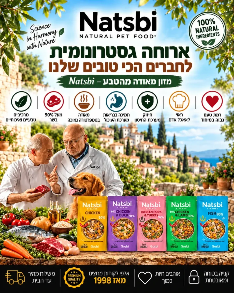 נטסבי סלולארי