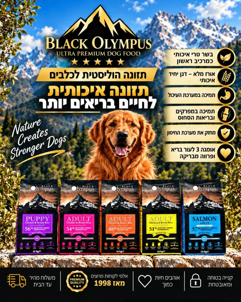 בלאק סלולארי